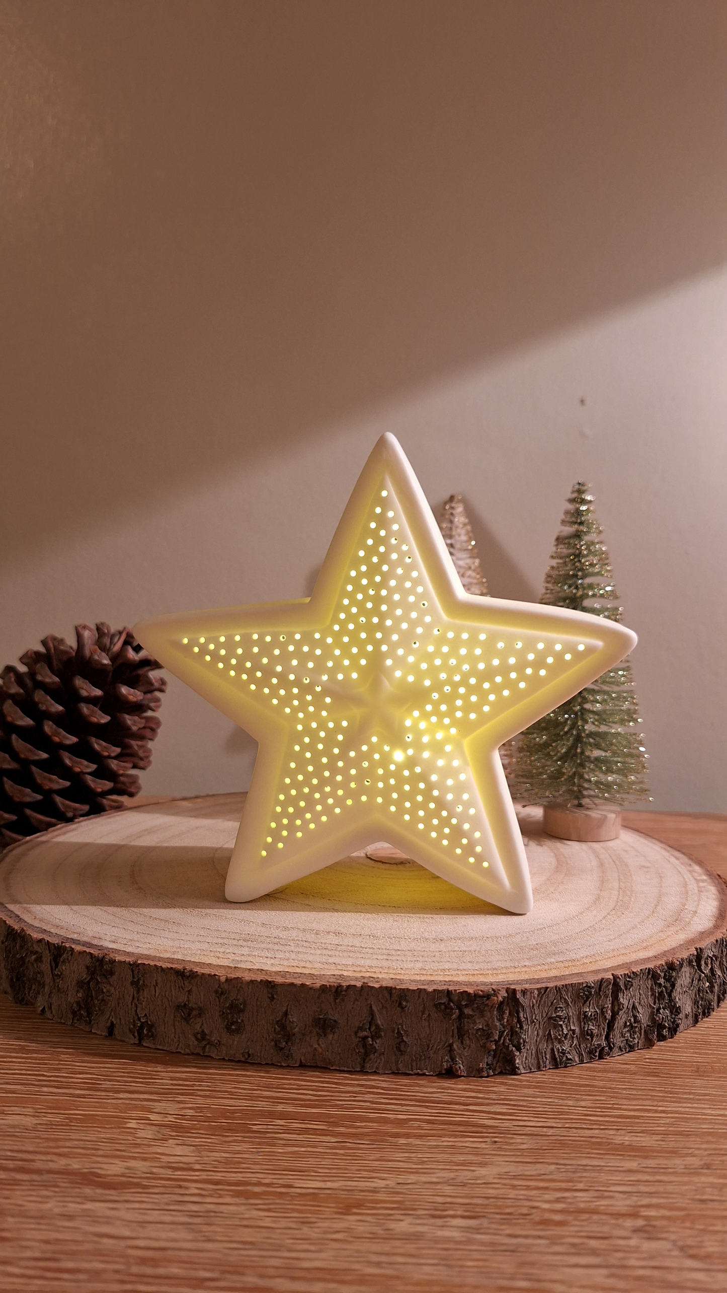 Ceramic LED Star