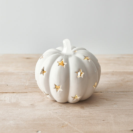 Small Light up Pumpkin