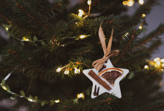 Spiced Oranges Scented Christmas Tree Decorations